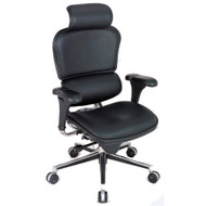 Raynor Ergohuman Leather Chair - LE9ERG