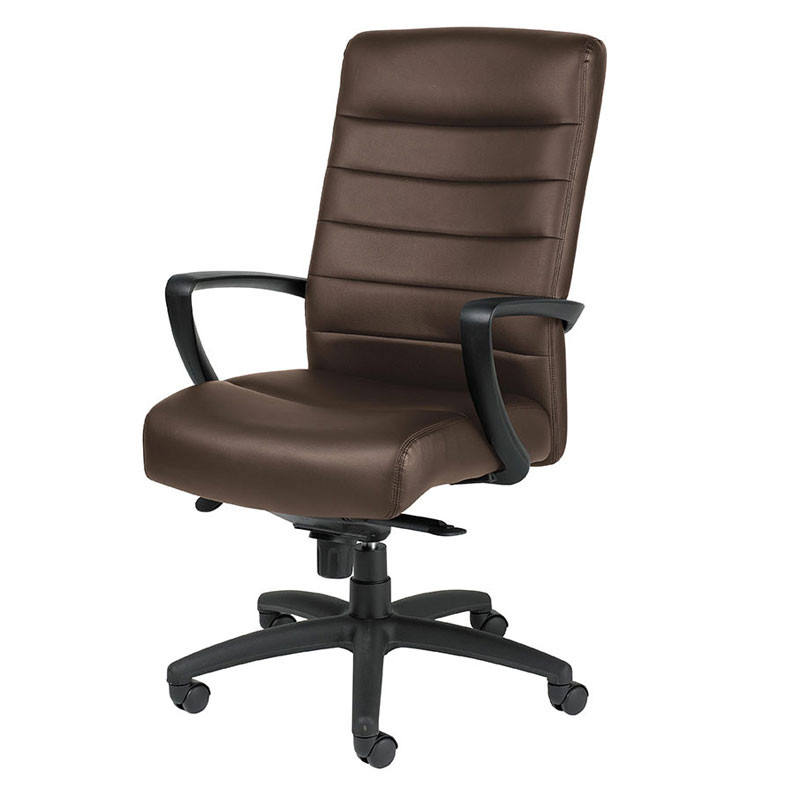 Eurotech by Raynor Manchester High-Back Brown Leather Chair LE150-BRN ...