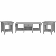 Bush Furniture Salinas Coffee Table with Set of 2 End Tables- SAL038CG