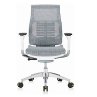 Eurotech by Raynor Powerfit all Mesh Chair - PFT2-BLK-MGRY