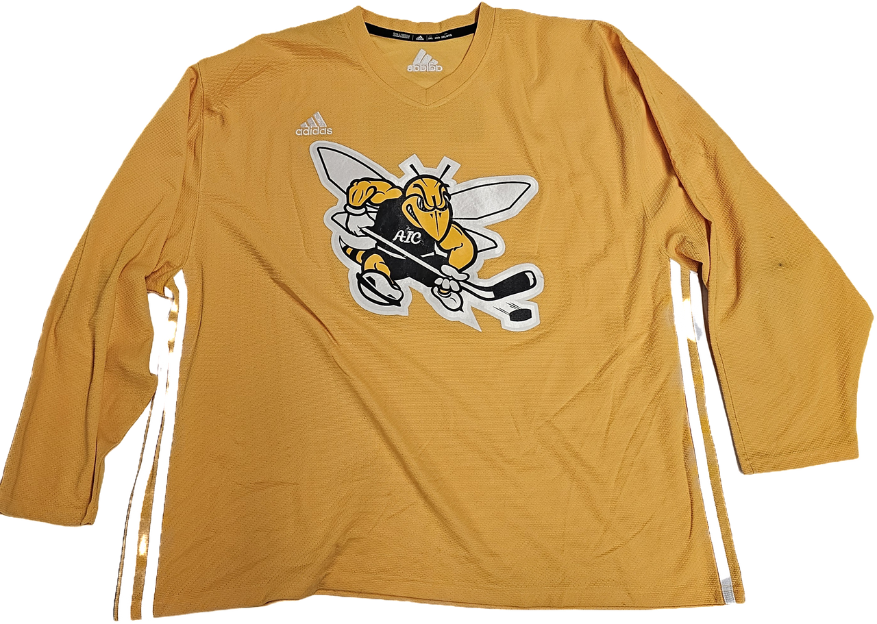 adidas hockey practice jersey