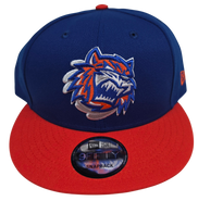 New Era Bridgeport Sound Tigers AHL Snapback Hat Royal Orange