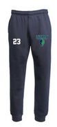Titans Baseball Pennant Classic Jogger Sweatpant Youth and Adult
