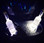 bottle glorifier, led bottle glorifier, led bottle glow, LED MINI NITE SPARXX