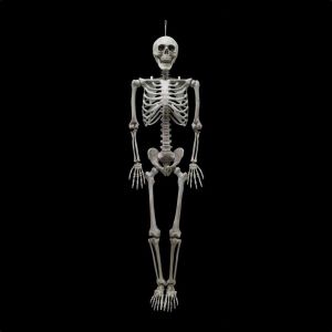 Life Size Hanging Skeleton - 1.6m