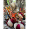 Pumpkin Display - Burgundy Cream