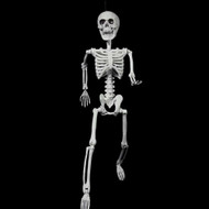 Witches of Halloween Skeleton Posable