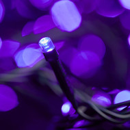 100 LED Connectable LED Purple Fairy Lights - Green Wire