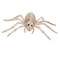 Halloween Skeleton Spider