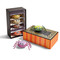 Katherines Macaroons Spider (Box of 6)