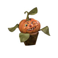 Cheeky Pumpkin Perennial 