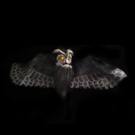 Halloween Spooky Owl Animated Sounds (2 Designs) - 87cm