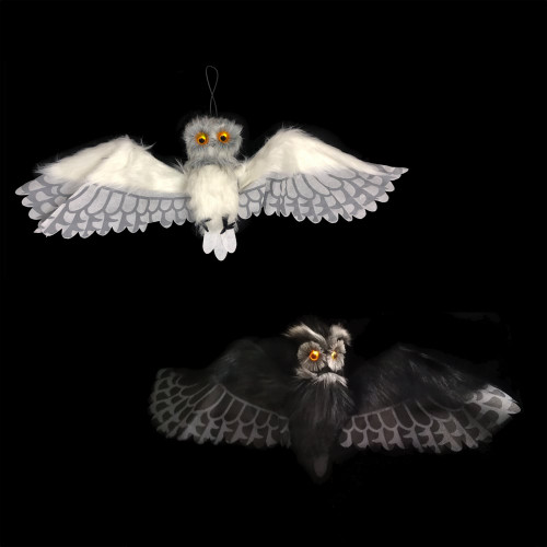 Bo Animated Owl (2 Designs)