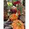 Hauntingly Cute Pumpkin Set (3-Pack)