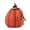 Wisteria Wildgrass Pumpkin