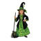 Green Witch Costume 