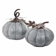 Silver Rustic Decorative Pumpkins  (Set of 2) 