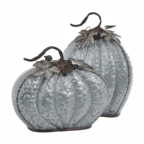 Decorative Rustic Flat  Pumpkins (Set of 2) 