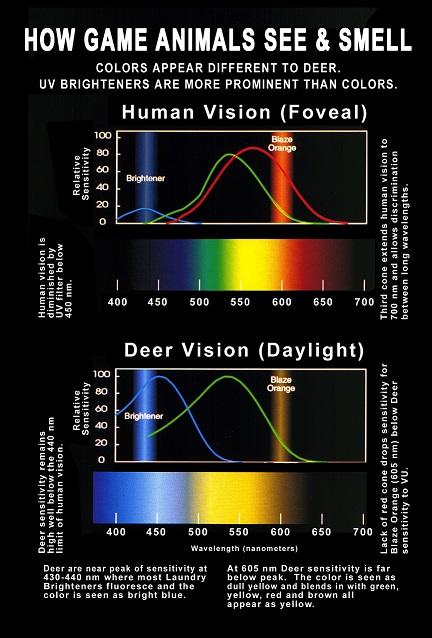 Animal Eye Reflection Color Chart