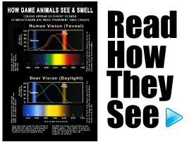 how-they-see-book.jpg