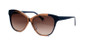 C3 Navy and Crystal Brown w/ Brown Gradient CR39 Lenses