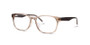 C6 Crystal Brown and Chocolate (TEMPORARILY SOLD OUT) 