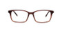 C2 Brown/Black Tiger Stripe Front 