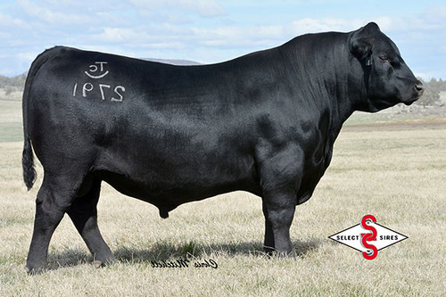 TEX Demand 2791