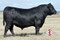 TEX Demand 2791