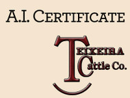 Ankonian Adam 8288 Certificate