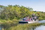 Everglades Air Boat Tour MiamiSightseeingTours.com