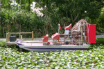 Everglades Airboat Tour MiamiSightseeingTours.com
