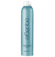 Aquage Dry Shampoo Style Extending Spray 8oz