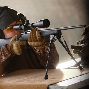 Bipods