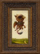 Baby Hippogriff framed