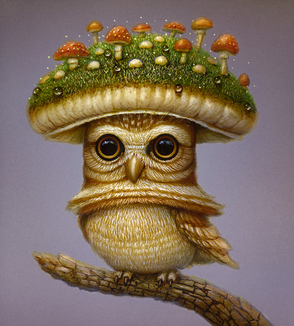 Fungus Owl