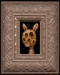Rabbit 06 framed