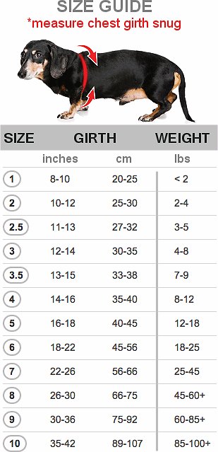 buddy-belt-sizing-chart.jpg