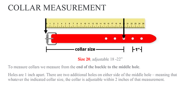 smoochy-collar-measurement-sm-1.jpg