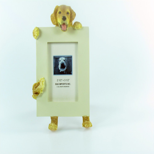 E&S Imports Small Dog Frame Golden Retriever