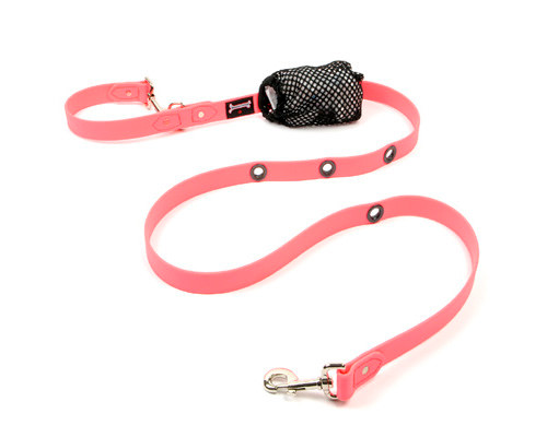 smoochy poochy leash