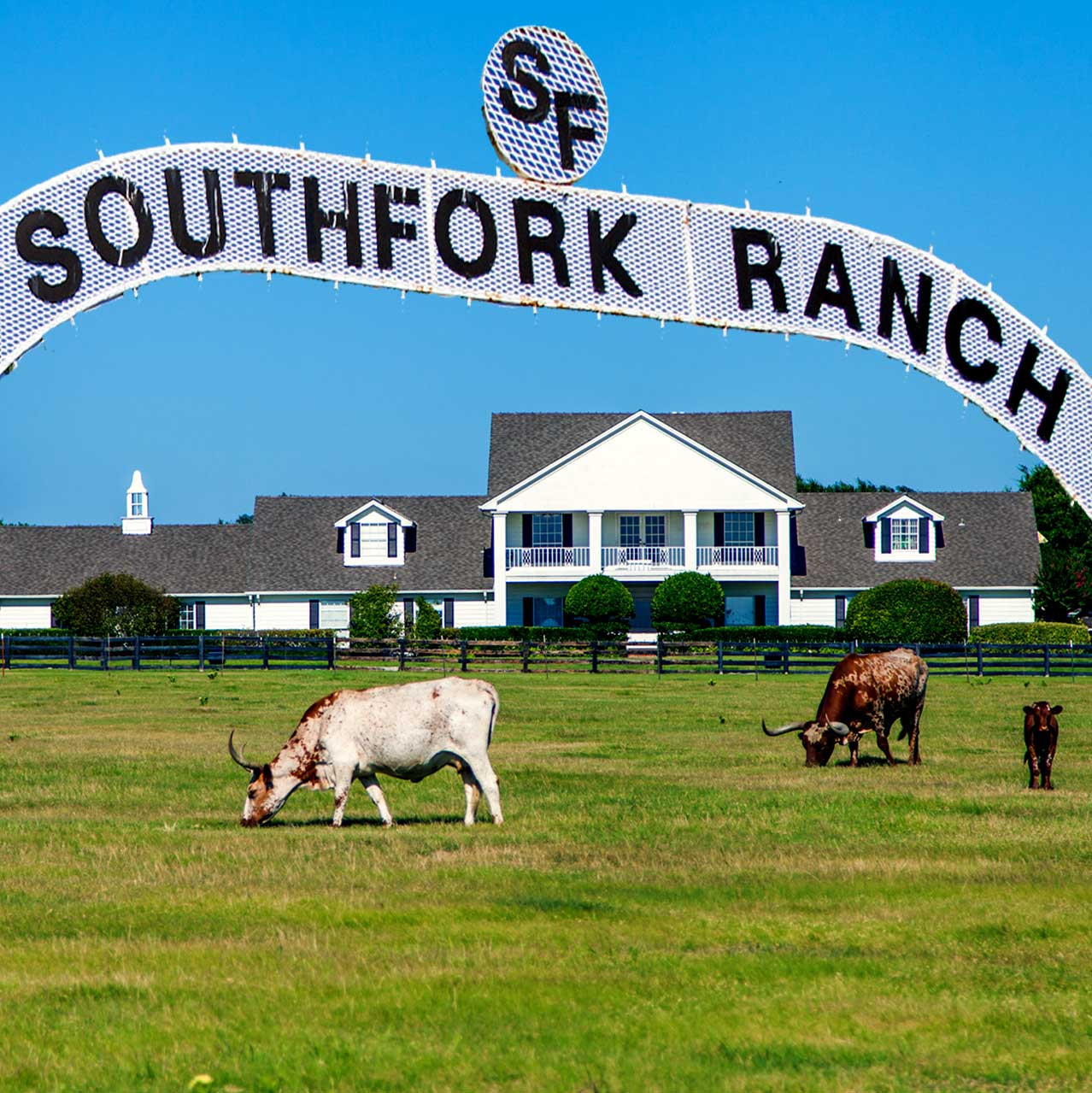 southfork-ranch-dtx224-south-austin-gallery