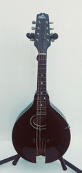 Gibson Style A  Snakehead Mandolin(1928) with Original Hard Case
