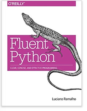 Python Hands-On Guide For Writing Effective And Idiomatic Code - Copperhill