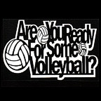 Are you Ready for some Volleyball?