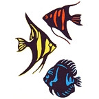 Tropical Fish - Package of 3