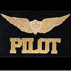 Pilot with wings - laser etched gold!