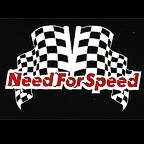 Need For Speed 3 Color Race Flag Design