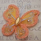 Butterfly - 2" Orange