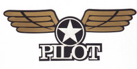 Pilot with Gold Wings